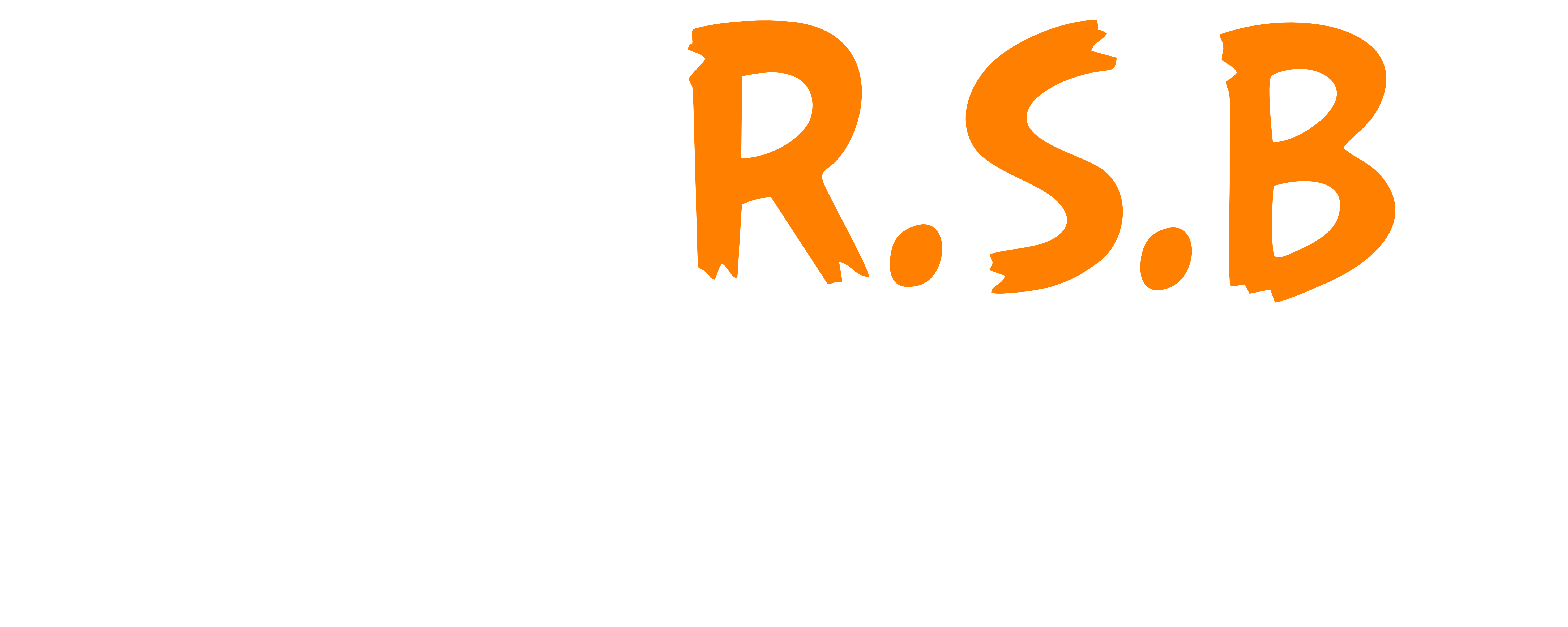 RSB Turizm